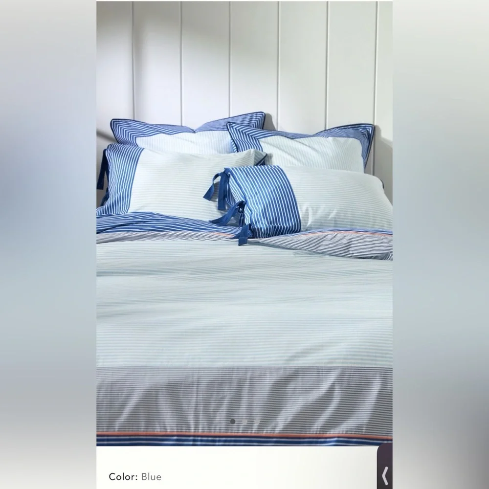 Anthropologie Livia Cotton Stripe Printed Duvet Cover and 2 Shams, King